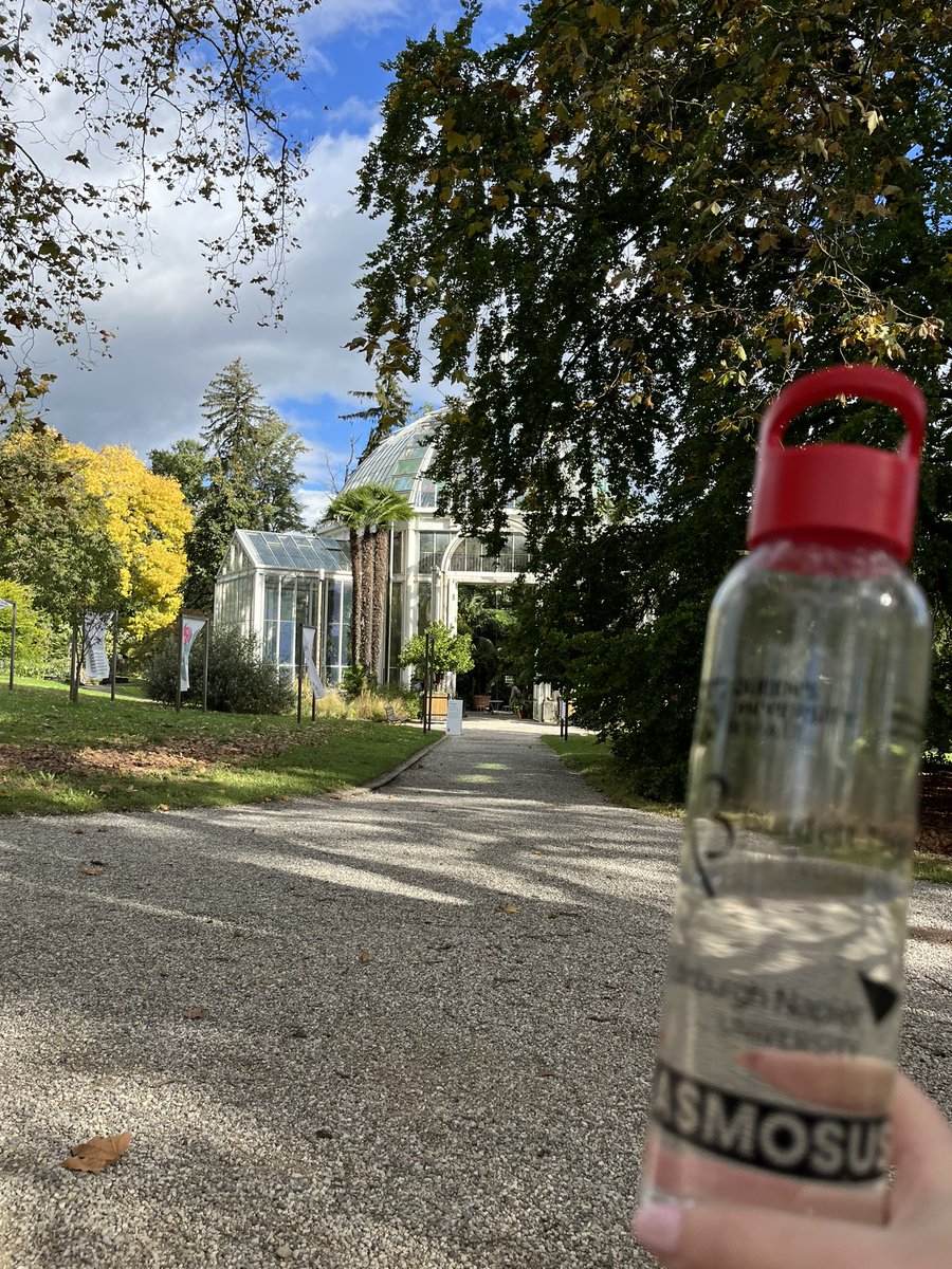 EHendersonRN's tweet image. 🇨🇭Geneva🇨🇭
Beautiful walks around botanical gardens, jet d’leau and fresh water fountains scattered around but does fruit covered in chocolate count?
Swiss Chocolate = dreamy
Staying hydrated with my #ASMOSUSresource water bottle #CVD #150 #switzerland