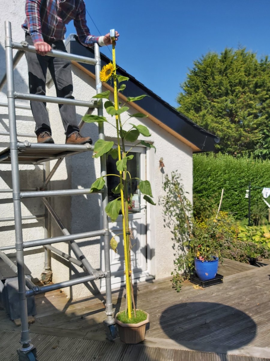 SNHS LfS tweet media