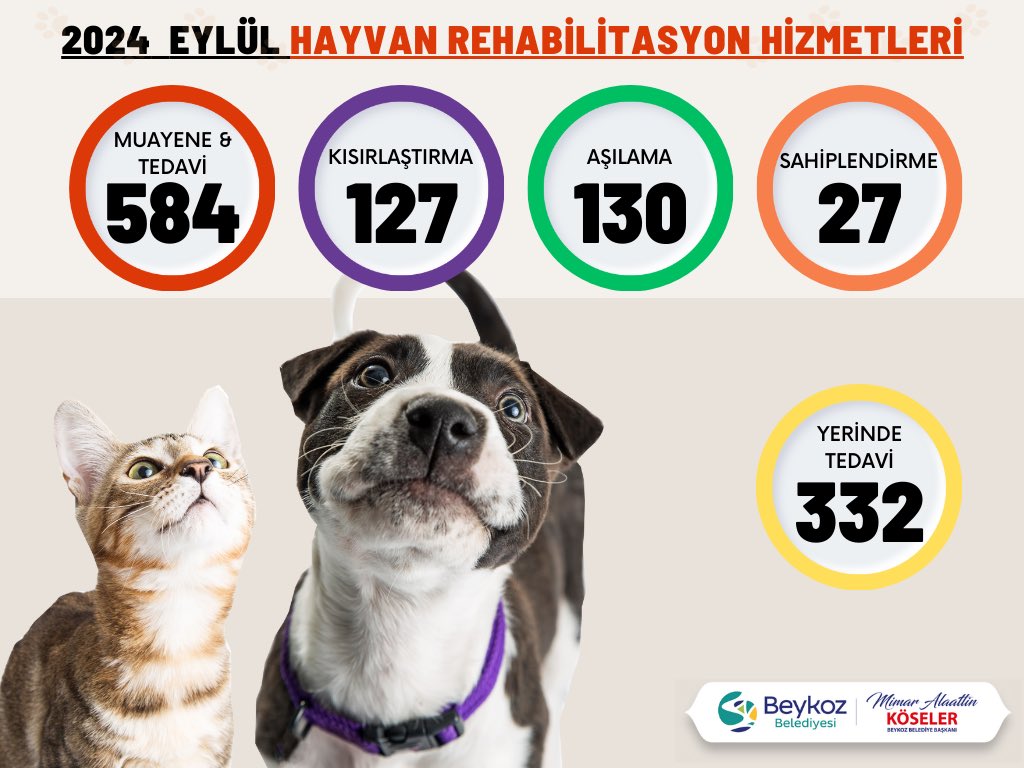 Beykoz_Bld's tweet photo. Eylül ayı dostluk raporumuz hazır! 🐾

🔍 Muayene ve Tedavi Sayısı:
Bu ay tam 584 sevimli dostumuzun muayene ve tedavisini gerçekleştirdik. 🩺🐶🐱

✂️ Kısırlaştırma:
Toplam 127 hayvan dostumuzun kısırlaştırmasını yaparak üreme kontrolünü sağladık...👇 https://t.co/CYJZbtYdsB