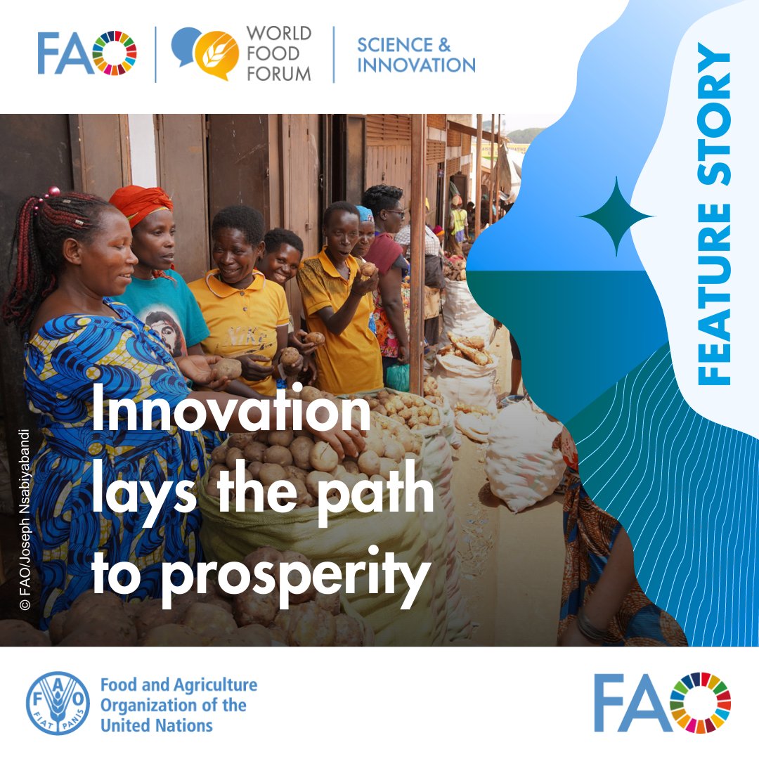 FAO Innovation tweet media