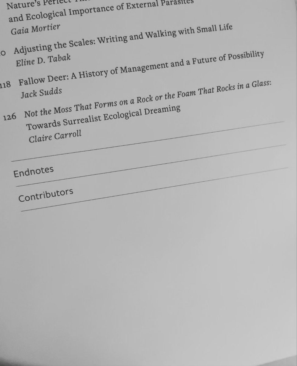 🌊🌊 tweet media