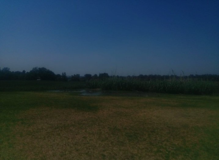 Delfos Cricket Club tweet media