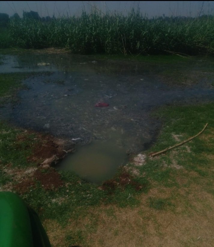 Delfos Cricket Club tweet media