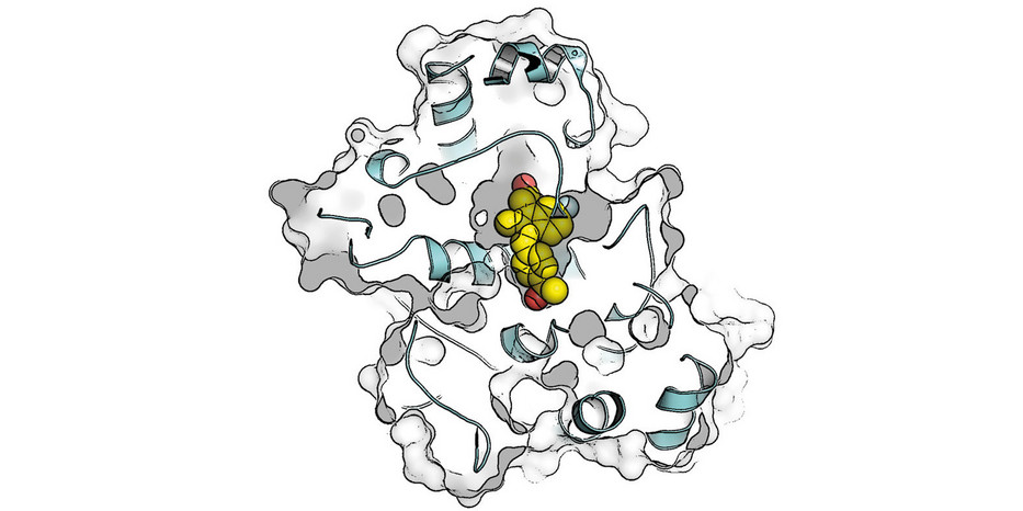 Promising substance against rare cancer licensed out!
Full article here: tu-dortmund.de/detail/vielver…