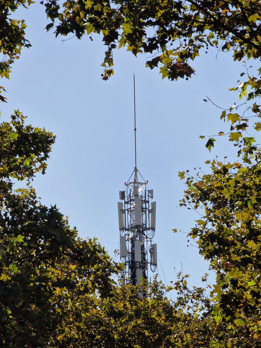 (CAST) Precioso encuadre!! 😍

(ENG) Great framing!! 😍

En/at antennas.ushahidi.io

Sube la tuya! Upload yours! 

#DondeEstaLaAntena #WhereIsTheAntenna