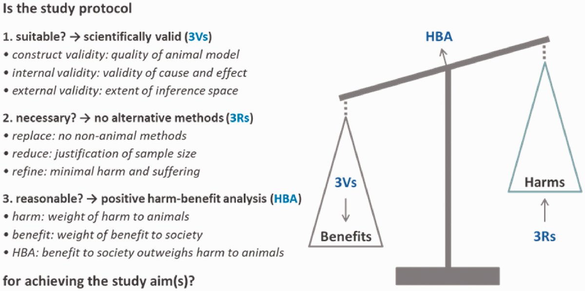 📰✨Our Feature Paper of the Month!✨📰
 
This month's highlight: "Internal consistency and compatibility of the 3Rs and 3Vs principles for project evaluation of animal research" by Matthias Eggel and Hanno Würbel.

📖 Read more: doi.org/10.1177/002367…