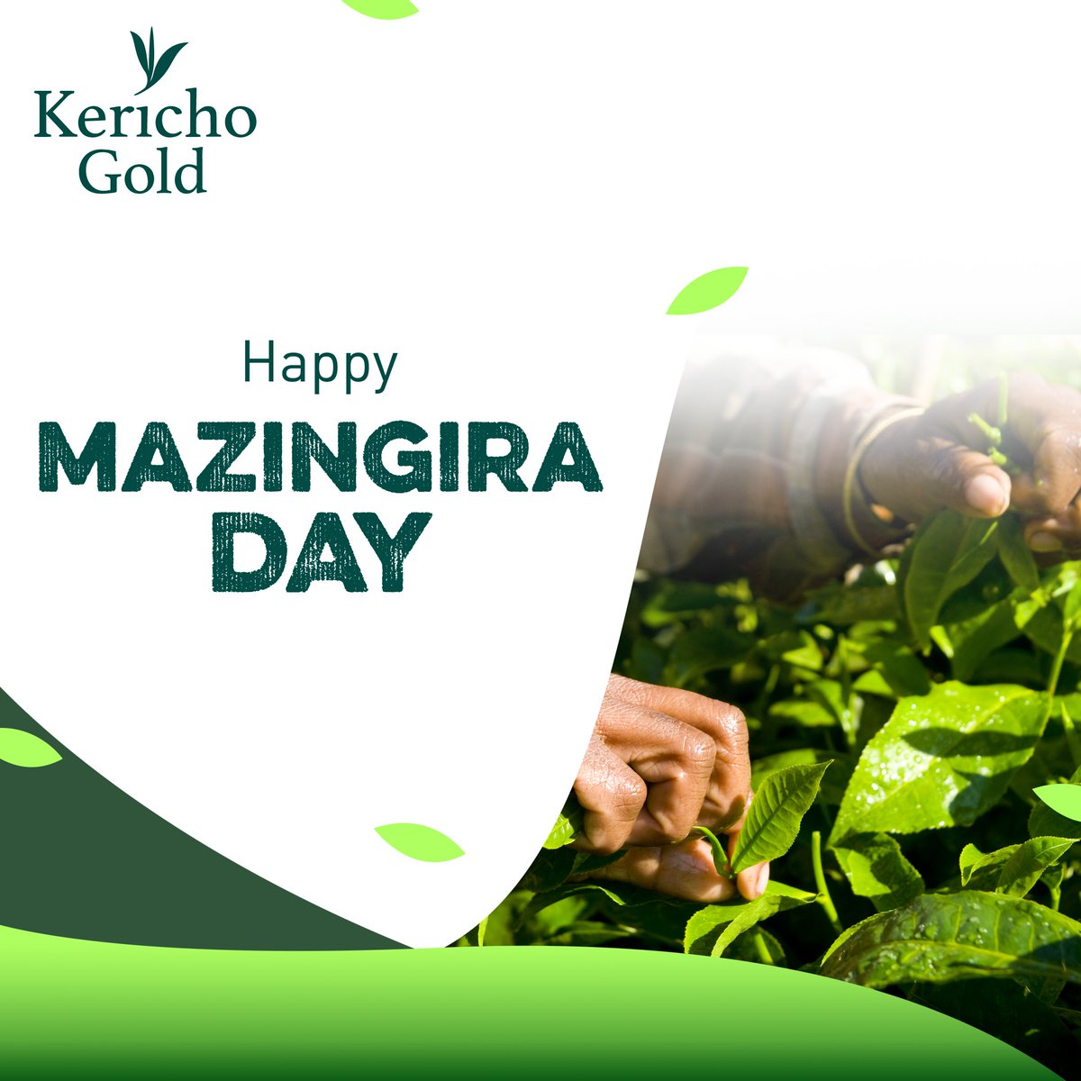Happy #MazingiraDay2024 🌿
Today, we honor our shared responsibility to safeguard the environment. Every step we take brings us closer to a greener, more sustainable future. Let's protect what we love 🌍. 

#DrinkMore #KerichoGold