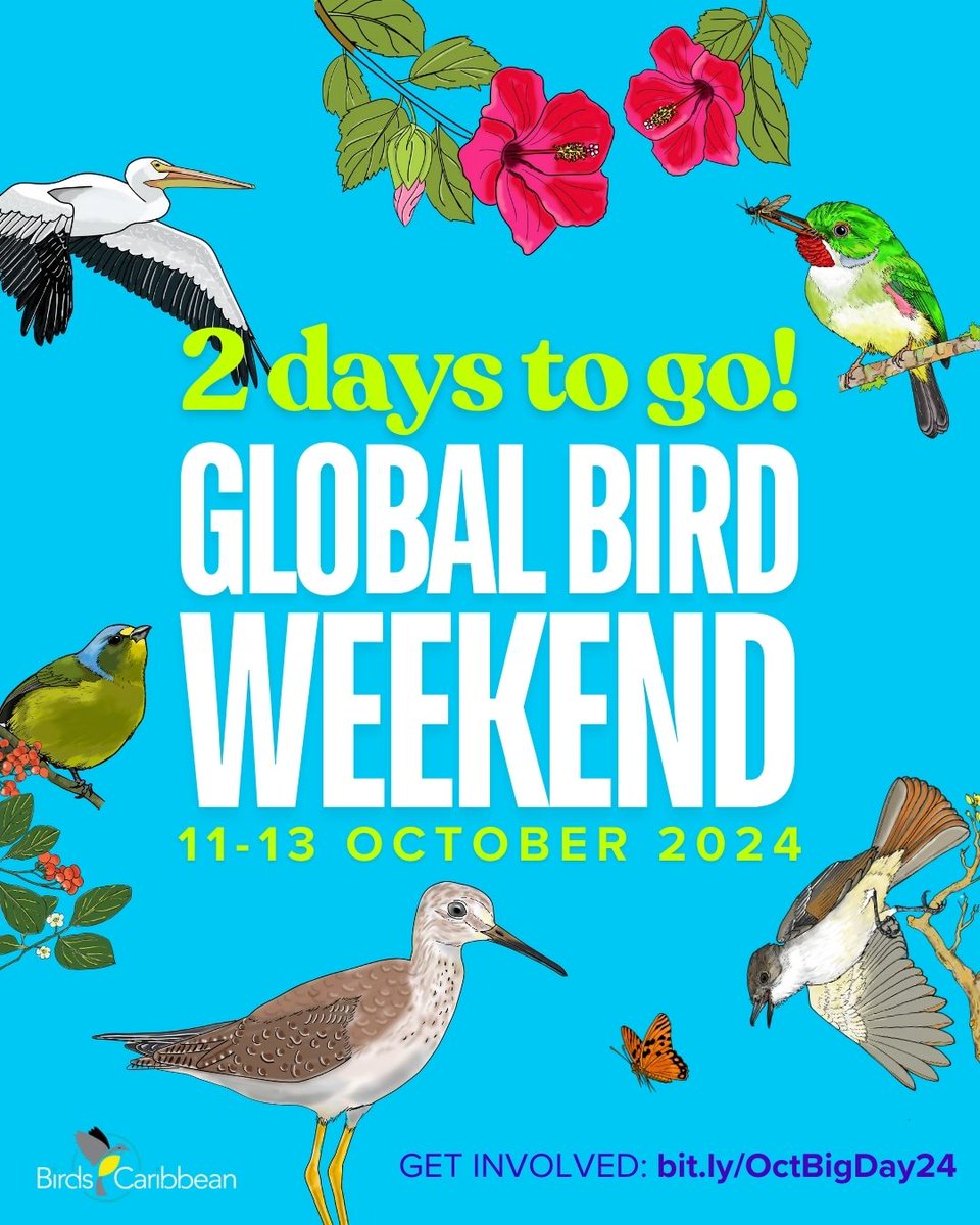 BirdsCaribbean's tweet photo. The countdown to an epic weekend of birding is ON! 🎉🦩
Only 2 days left for ✨️#GlobalBirdWeekend, ✨️#OctoberBigDay & ✨️WorldMigratoryBirdDay!
ℹ️ https://t.co/NaFTz8wwny
#ProtectInsectsProtectBirds #BirdsConnectOurWorld
@Team_eBird @enviroamericas @global_birding https://t.co/t6uTIQmuby