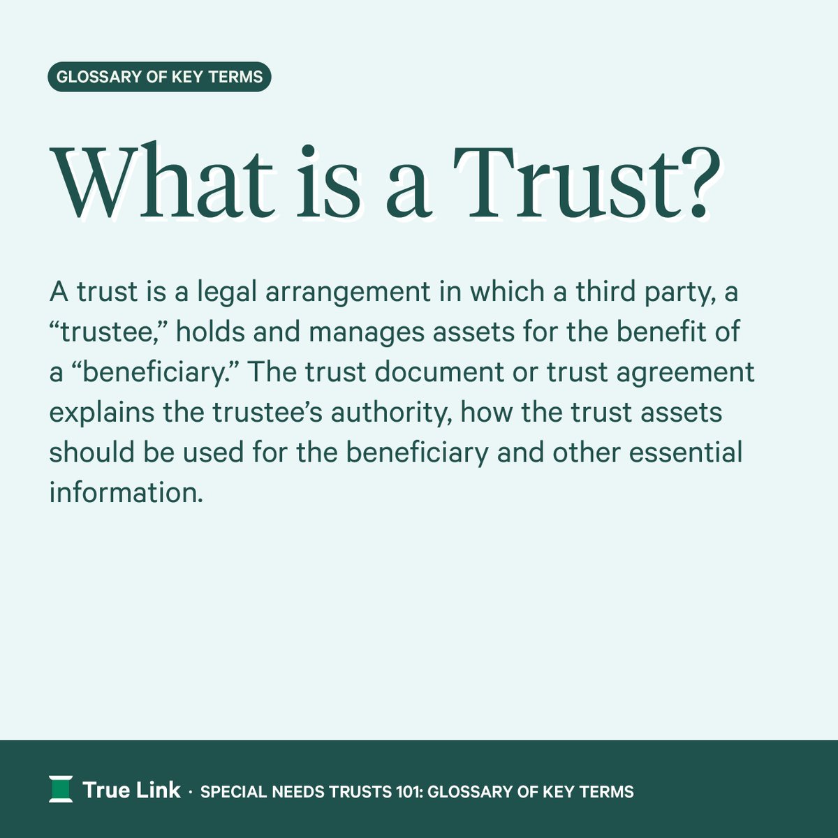 True Link tweet media