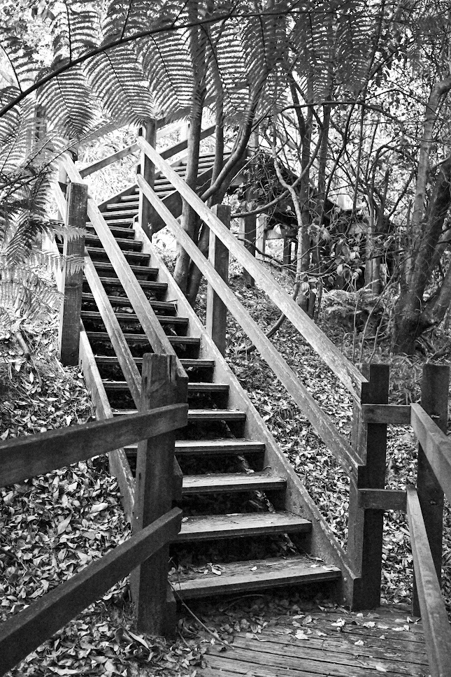 HomeWhenWalking's tweet image. 📷 6888, Fred Hollows Reserve, Sydney, Australia, October 2024.
See more of my journey and support my work here: sepasama.com