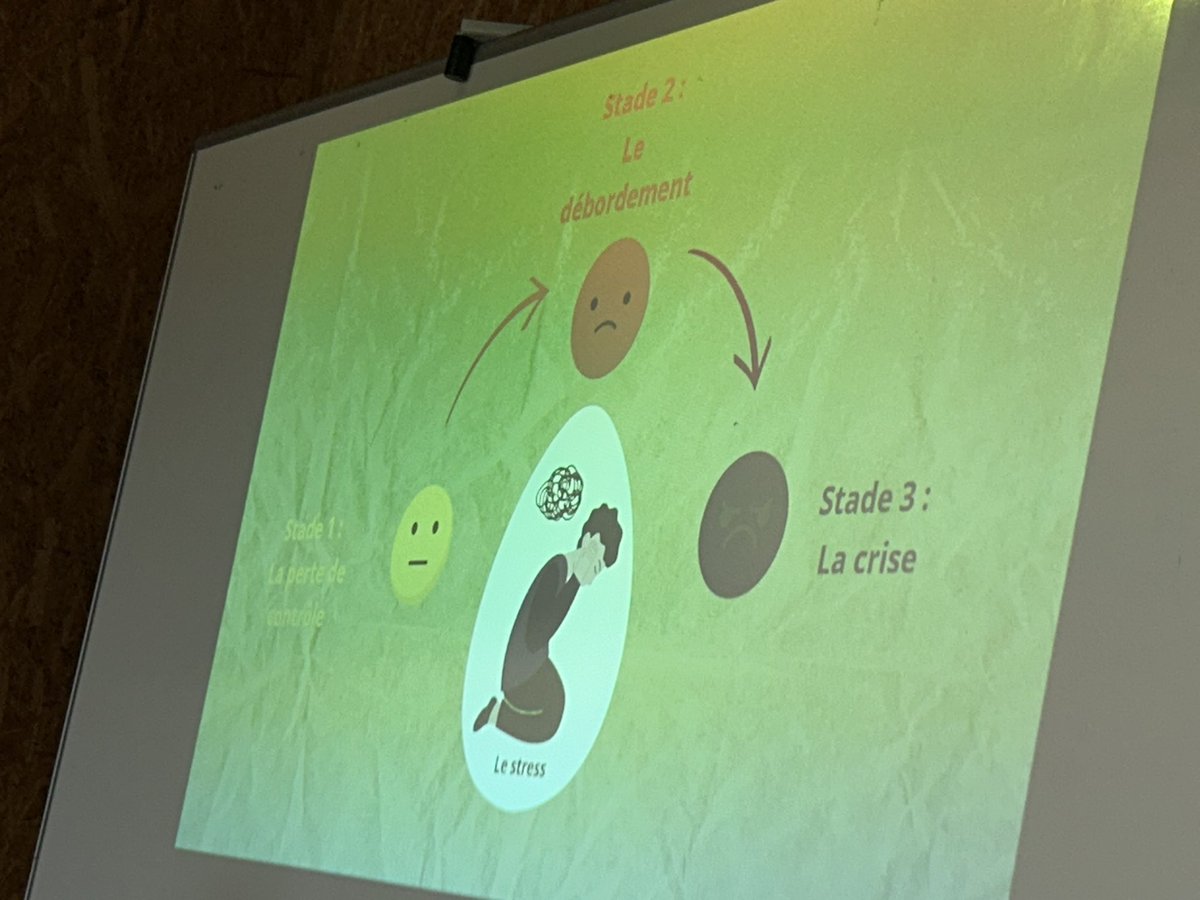 Sensibilisation à la gestion de crise auprès des directeurs, directrices et coordonnateurs ULIS menée par l’EMAS. Un partenariat essentiel