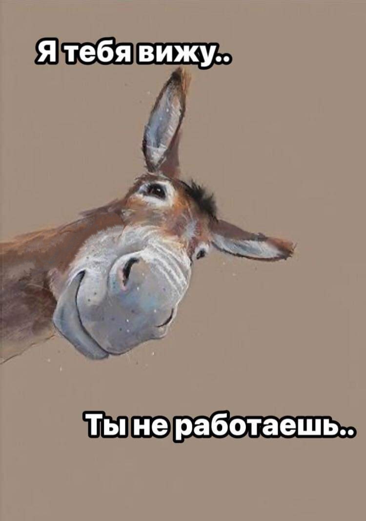 Добрый день
