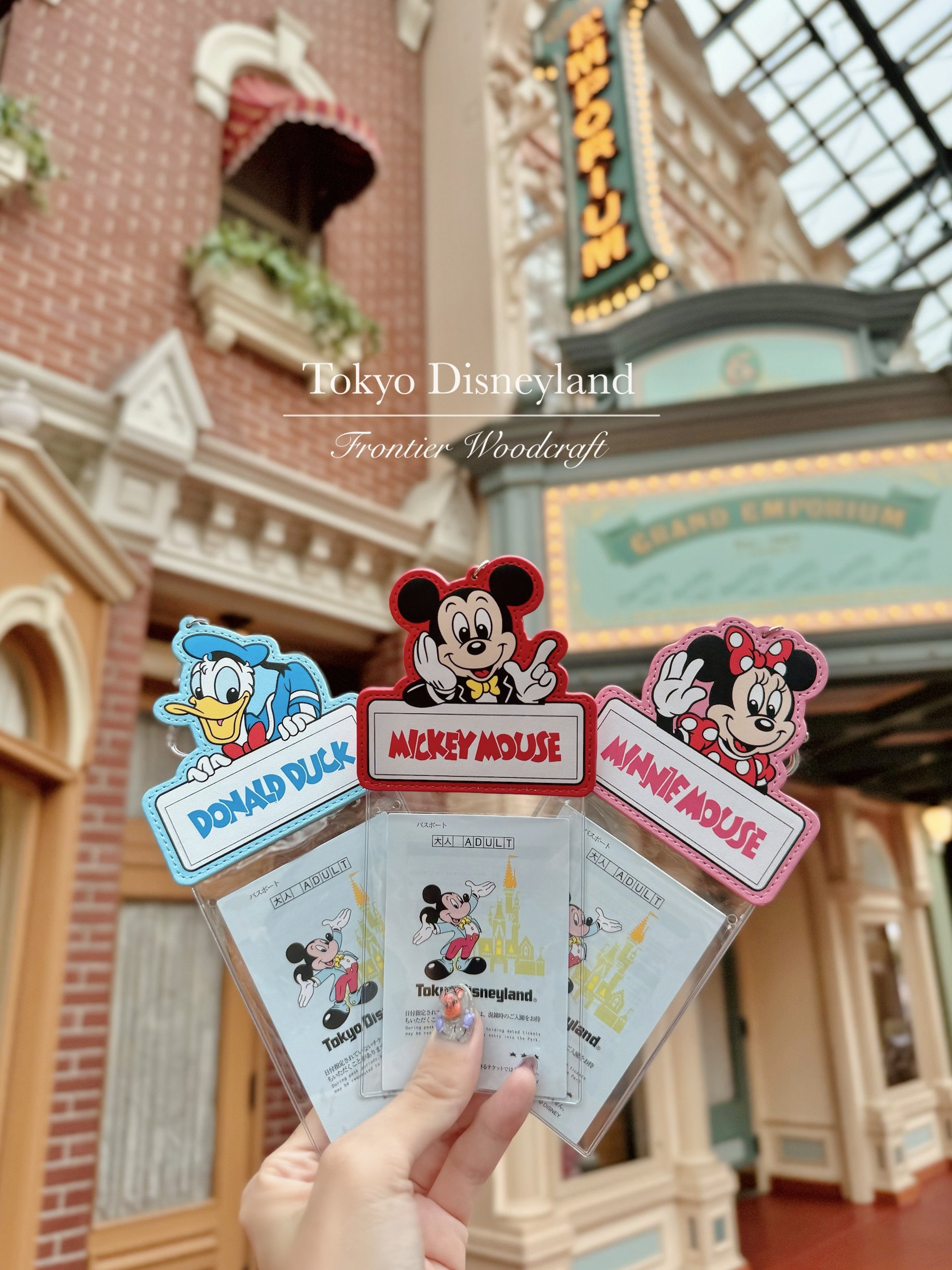 ミッキー、ミニー、ドナルドデザイン！東京ディズニーランド