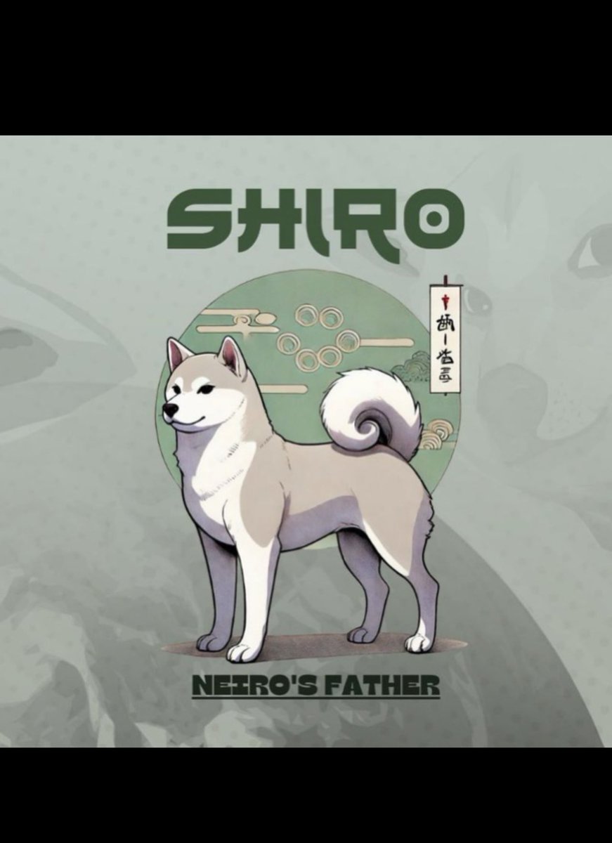 ππ«π’π§πππππ―ππ§ββοΈ (@mr_princewave) on Twitter photo $SHIRO (SOL) Neiroβs Fatherπ₯
I believe this will run hard, itβs got experienced and based team onboard. I grabbed a bag around 1M mcap.
CA: 3phufdM3ZNUt5q4dw1iHWqAwck7UW4czmTEtydeWpump
TG: t.me/Shiro_global
X: x.com/ShiroCoinSol $SHIRO (SOL) Neiroβs Fatherπ₯
I believe this will run hard, itβs got experienced and based team onboard. I grabbed a bag around 1M mcap.
CA: 3phufdM3ZNUt5q4dw1iHWqAwck7UW4czmTEtydeWpump
TG: t.me/Shiro_global
X: x.com/ShiroCoinSol