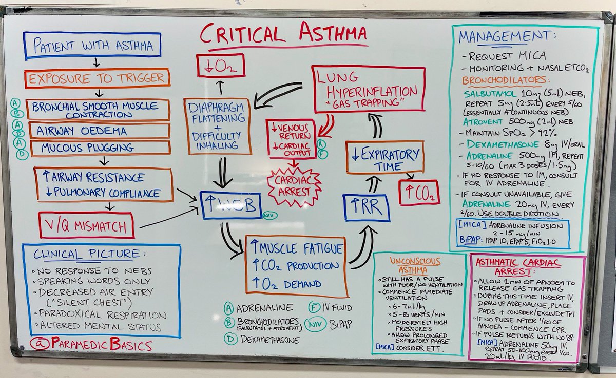 ParamedicBasics tweet media