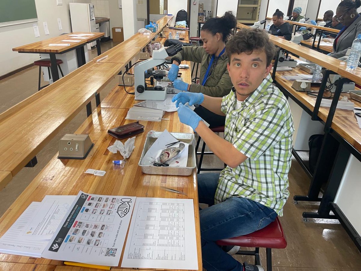 At the 15th AASA Conference, the Aquaponics Workshop explored sustainable fish and veggie farming, while the Fish Health Workshop focused on disease management for long-term success. 
#AASA2024 #aquaponics #aquaculture #fishdisease #fishhealth #sustainability #Innovation