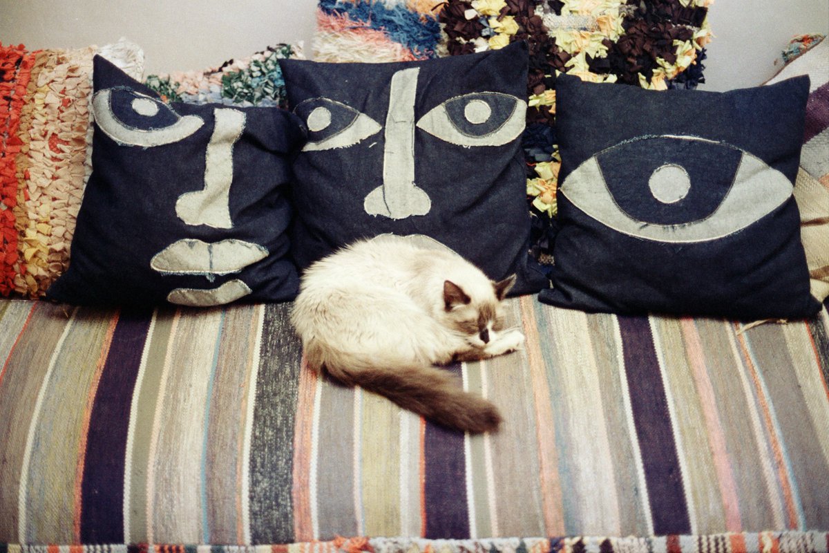 Day 10 : Douceur
 #31themesAnalogChallenge