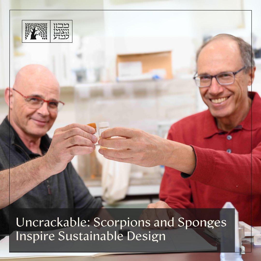 Can scorpions and sea sponges unlock the secret to more sustainable materials? Prof. Daniel Wagner and Dr. Israel Greenfeld reveal how nature's 'grading' technique balances strength and flexibility in these creatures' shells &gt;&gt; bit.ly/uncrack-WIS-Eng