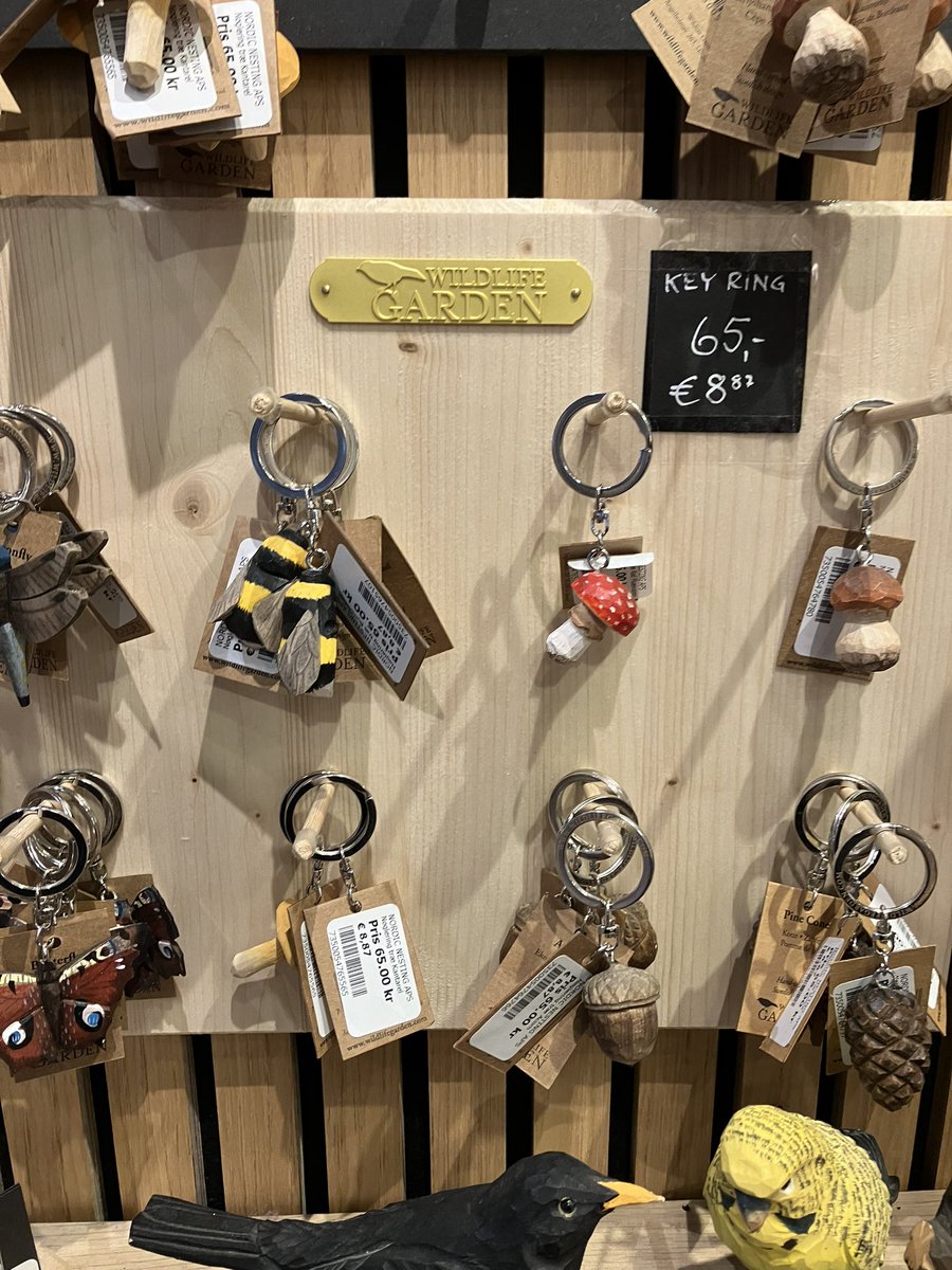 Dr Amy Parachnowitsch PhD ๐ธ๐ (@evoecoamy) on Twitter photo On my way to #SCAPE2024! Excited for lots of pollination to come but found some cute things along the way. (Copenhagen airport) On my way to #SCAPE2024! Excited for lots of pollination to come but found some cute things along the way. (Copenhagen airport)