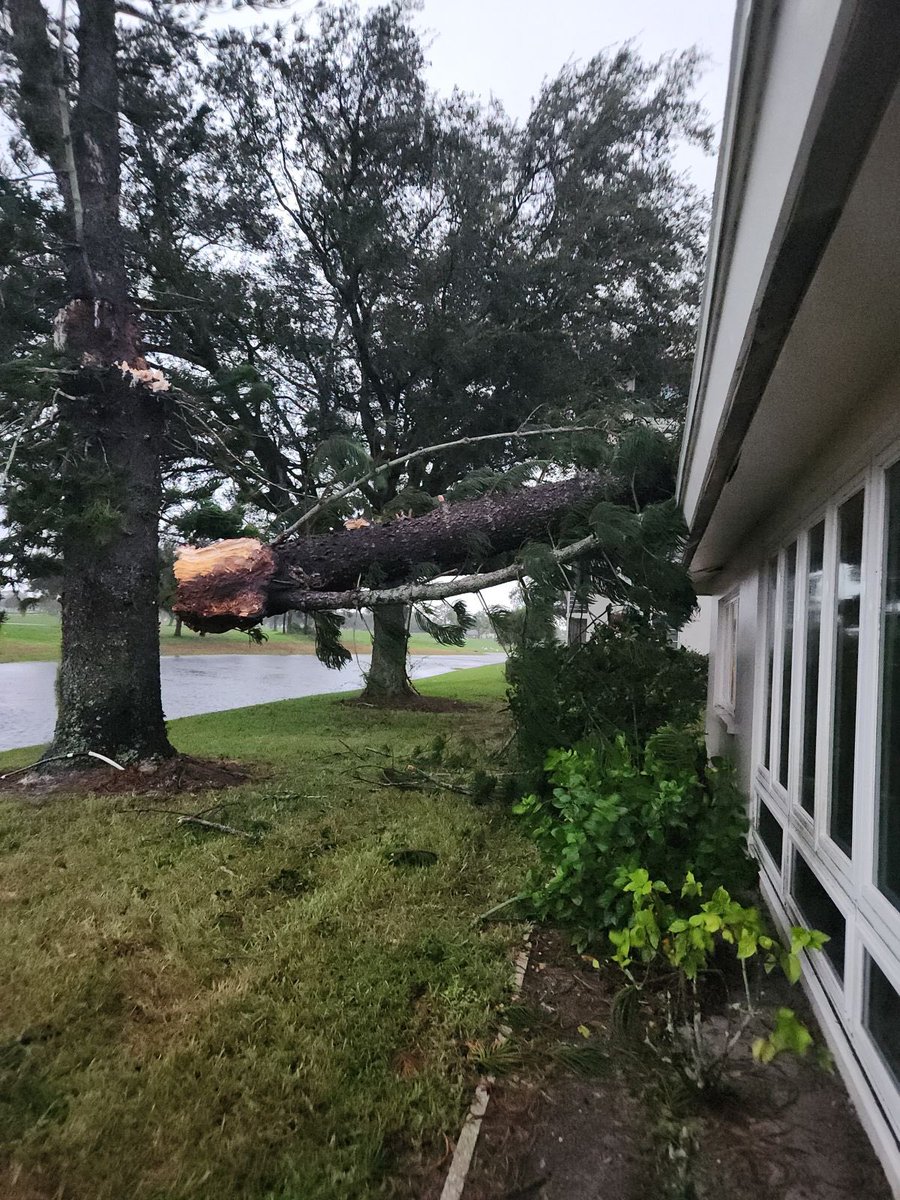 StylinOnline tweet media