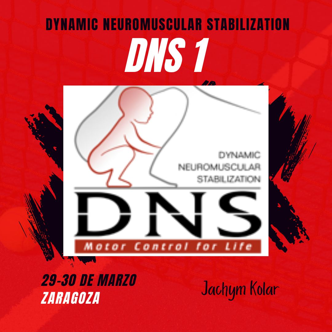 ecucafd (@ecucafd) on Twitter photo Vuelve DNS a España de la mano de nuestro partner <a href="/ecufis/">ecufis</a> 
Toda la info ⬇️
ecufis.com/curso/dns-1-dy… Vuelve DNS a España de la mano de nuestro partner <a href="/ecufis/">ecufis</a> 
Toda la info ⬇️
ecufis.com/curso/dns-1-dy…