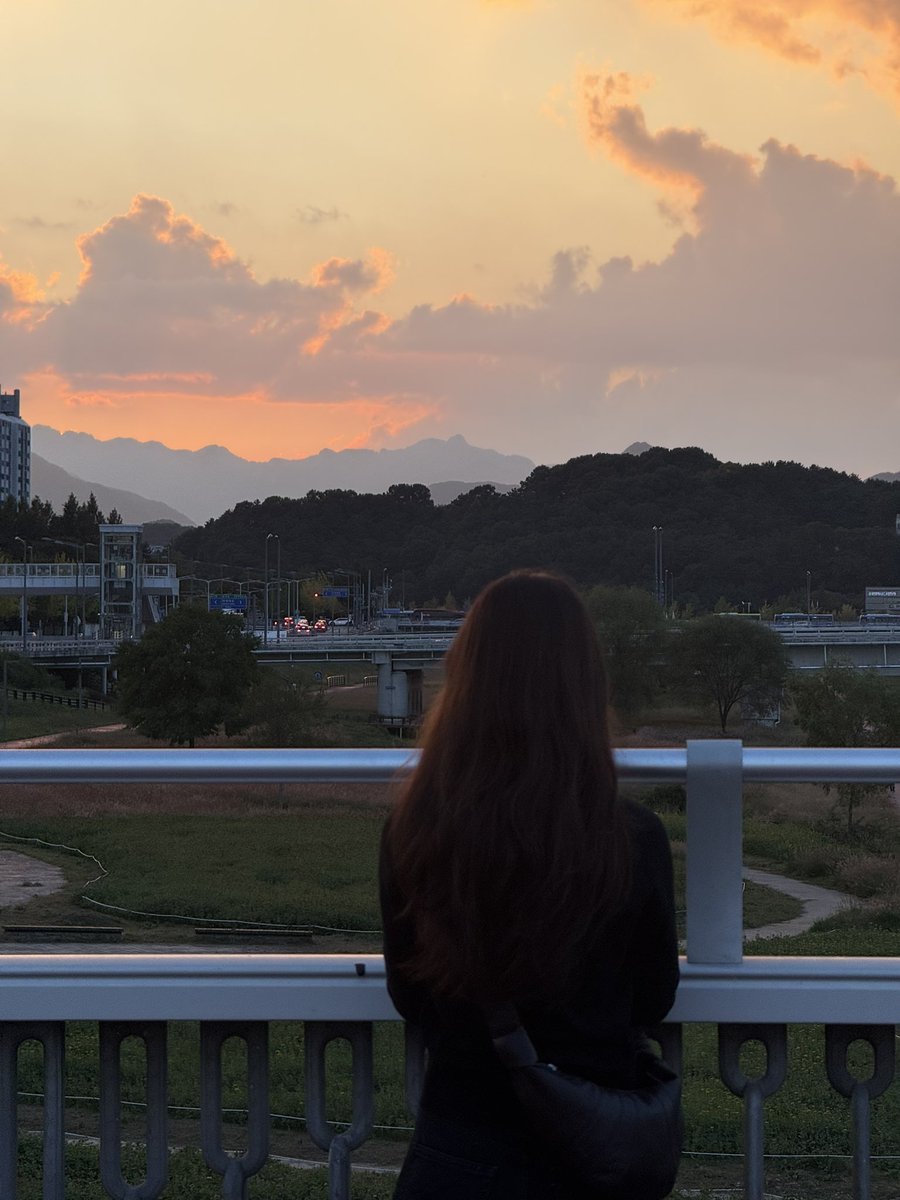 이게 대전인지 브리즈번인지