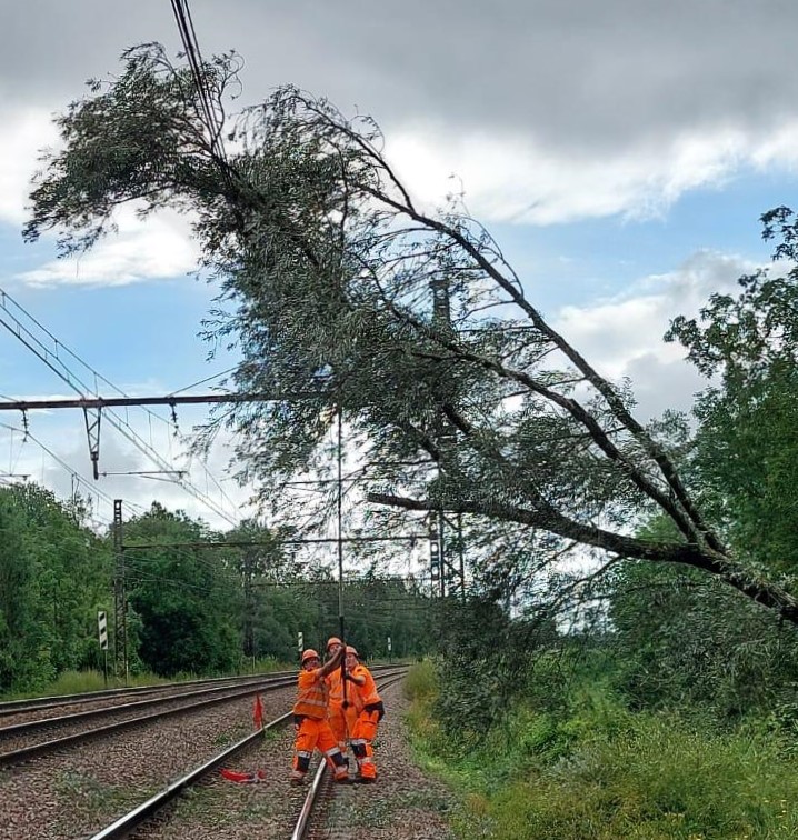 SNCFReseau's tweet image. Les circulations reprennent progressivement suite à la #tempêtekirk. Plus de 500 agents de SNCF Réseau sont mobilisés depuis hier pour dégager les voies et permettre une reprise la plus rapide des circulations.
