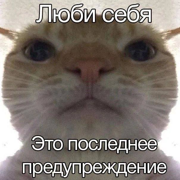 RussianMemesLtd's tweet photo. love yourself

this is the last warning https://t.co/lZv6yQqaKU