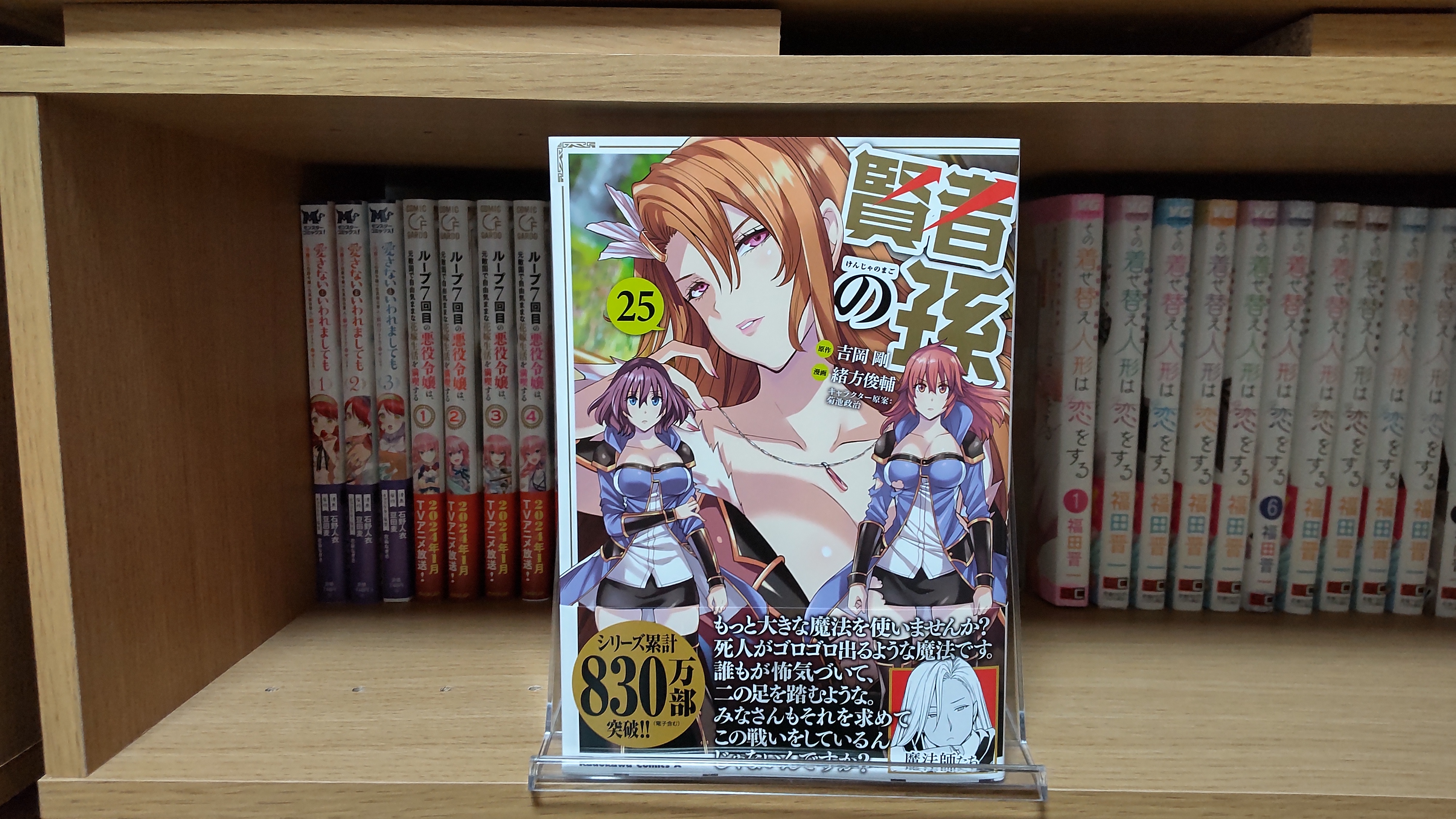 Amazon.co.jp: 賢者の孫(24) (角川コミックス・エース) 電子書籍