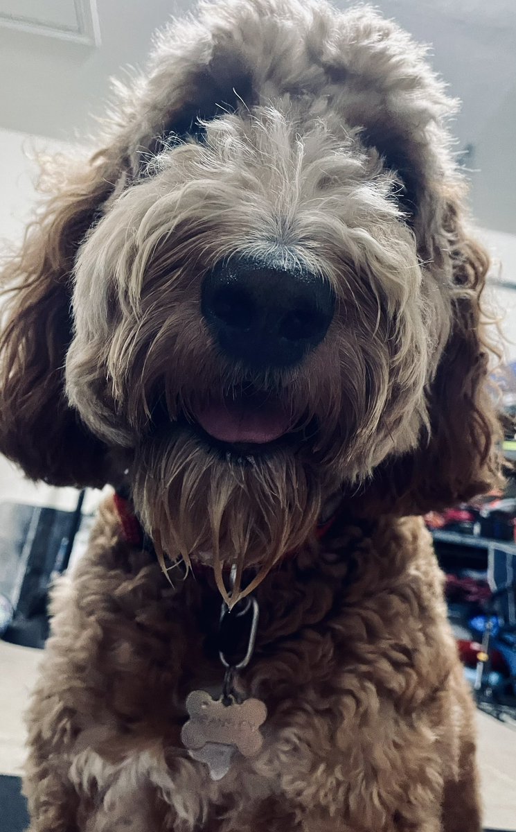 Amber Freeman tweet media