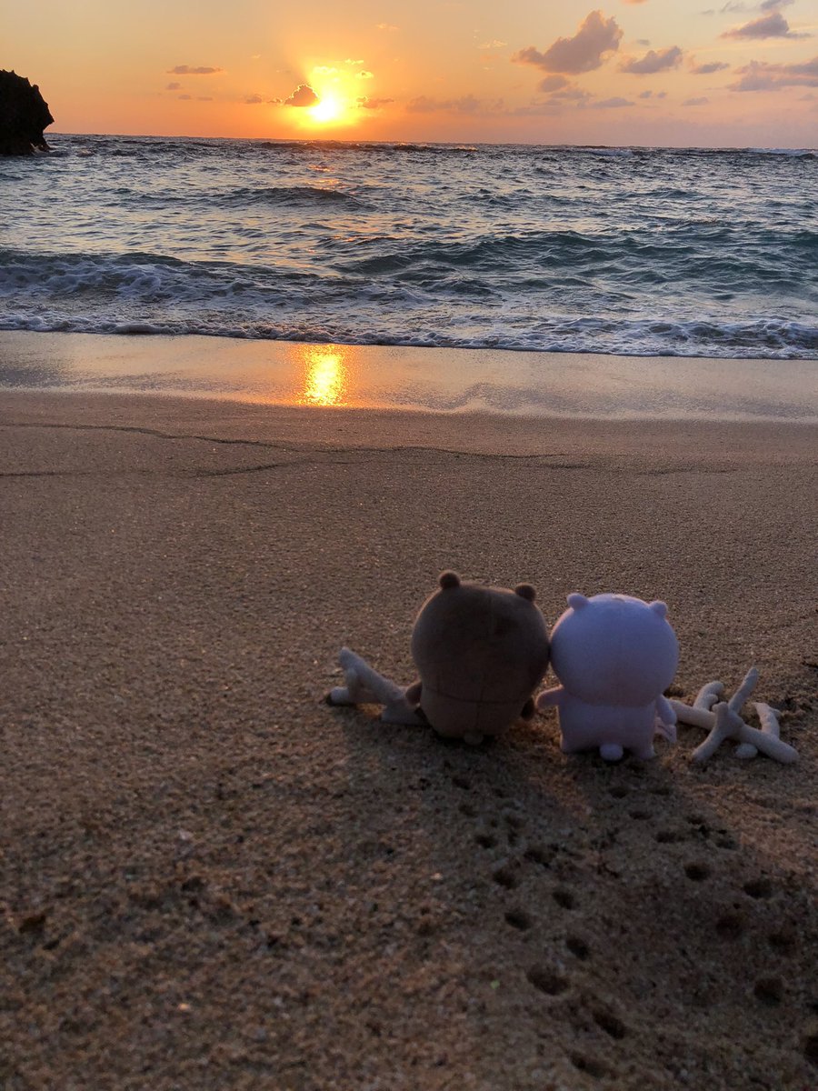 343kuma's tweet image. また一緒に来ようね

うん、また一緒に来ようね