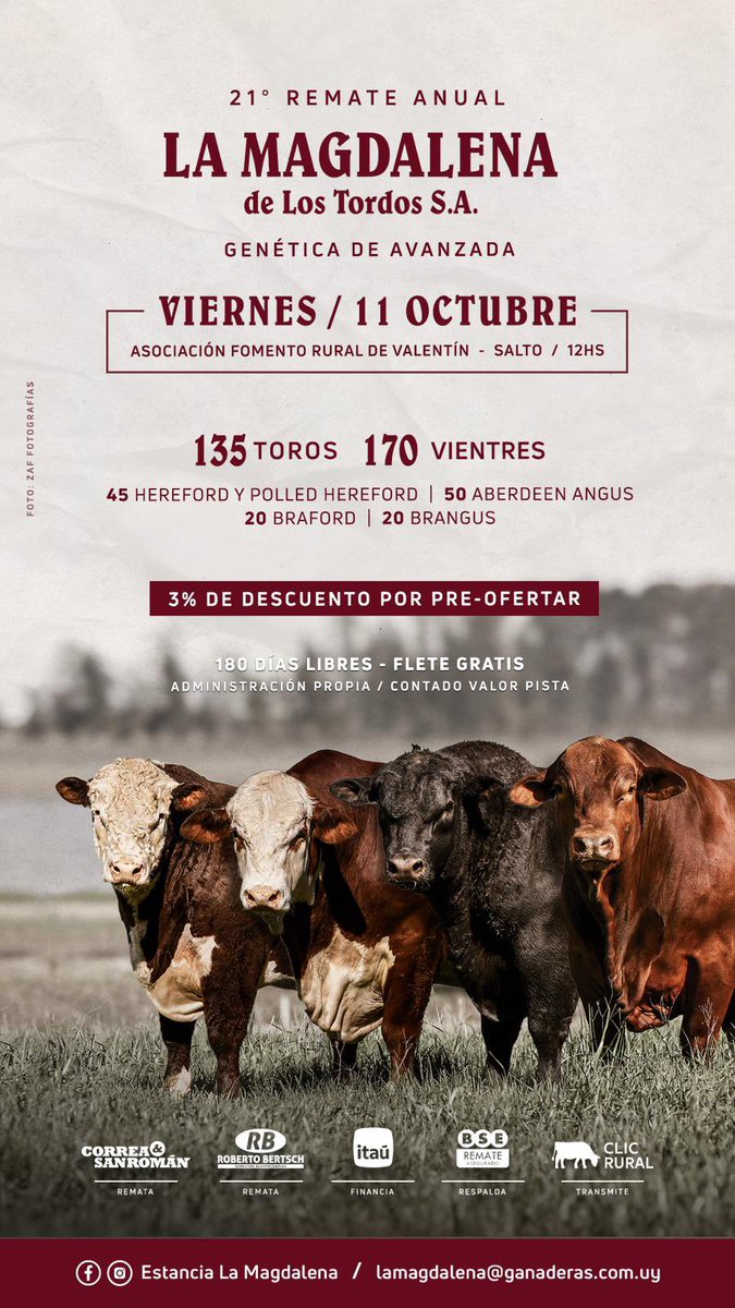 Federico Stirling tweet media