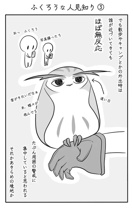 『ふくろうな人見知り』(3/3)
#ふくろうな関係
#漫画が読めるハッシュタグ 