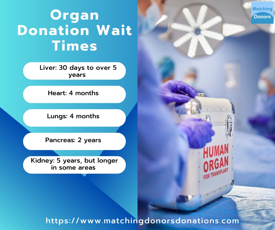 Matching_Donors's tweet photo. Every minute counts.  While waiting for an organ donation can take months or even years, the impact of a single gift can save multiple lives. Let’s spread awareness and inspire hope.

#organdonation #savelives #donatelife #organtransplant #hope #givehope #beadonor https://t.co/zKj66VbM5m