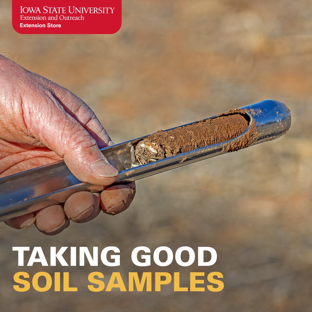 ISU Crop News (@isucropnews) on Twitter photo Getting good soil samples is step #1 when it comes to making good and more informed fertilizer decisions. Read more on taking good soil samples this fall: crops.extension.iastate.edu/blog/gentry-so…. <a href="/GentrySorenson/">Gentry Sorenson</a> <a href="/ISUExtStore/">ISU Extension Store</a> #ISUCrops Getting good soil samples is step #1 when it comes to making good and more informed fertilizer decisions. Read more on taking good soil samples this fall: crops.extension.iastate.edu/blog/gentry-so…. <a href="/GentrySorenson/">Gentry Sorenson</a> <a href="/ISUExtStore/">ISU Extension Store</a> #ISUCrops
