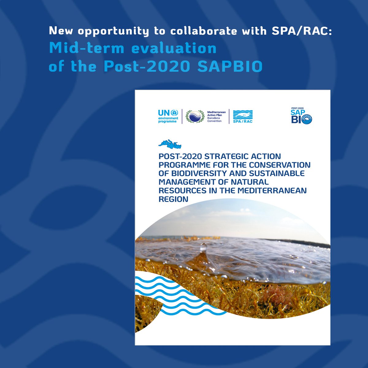 🌊New call for applications: recruitment of 5 international experts for the mid-term evaluation of the Post-2020 SAPBIO
🔹 Terms of Reference: bit.ly/3YkWhlb
🔹 Submission deadline: 24 Oct. 2024

SAPBIO document: bit.ly/4ezP5XZ
#opportunity #marineconservation