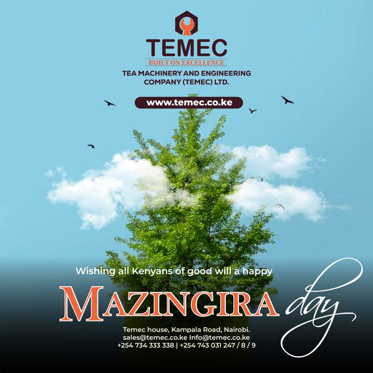 Temec Limited tweet media