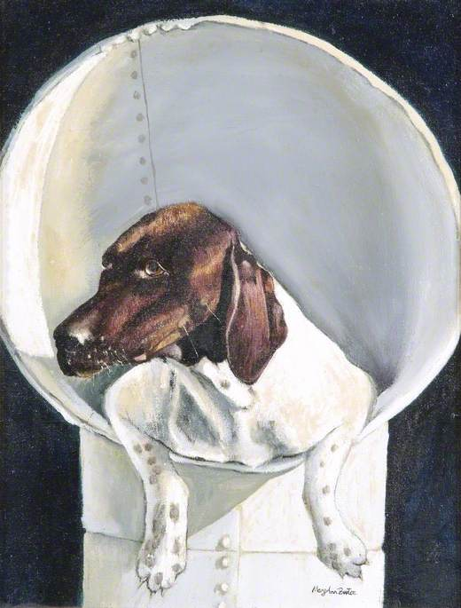 Pallant House Gallery (@pallantgallery) on Twitter photo Today's <a href="/artukdotorg/">Art UK</a> #OnlineArtExchange theme is Dogs for 'WOOF: A Celebration of Dogs' <a href="/Lynn_Museum/">Lynn Museum</a> 🐕
We chose this true seadog from the collection of <a href="/I_W_M/">Imperial War Museums</a>.
Judi became the only animal officially registered as a POW during WW2.
🖼️: Judi: Ship's Mascot, c.1960 Today's <a href="/artukdotorg/">Art UK</a> #OnlineArtExchange theme is Dogs for 'WOOF: A Celebration of Dogs' <a href="/Lynn_Museum/">Lynn Museum</a> 🐕
We chose this true seadog from the collection of <a href="/I_W_M/">Imperial War Museums</a>.
Judi became the only animal officially registered as a POW during WW2.
🖼️: Judi: Ship's Mascot, c.1960