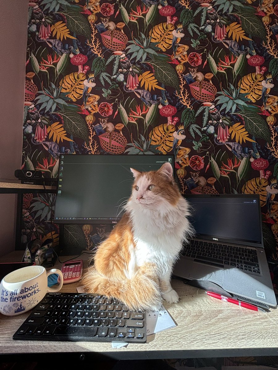 Kara-Louise Royle tweet media