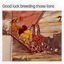 CliMatt (Matthew Shribman) tweet media