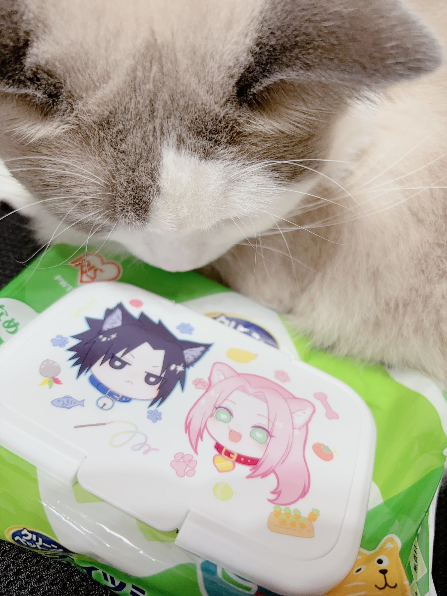 sasukeちゃん♡ Ellie (@bakatonomatsuri) / X