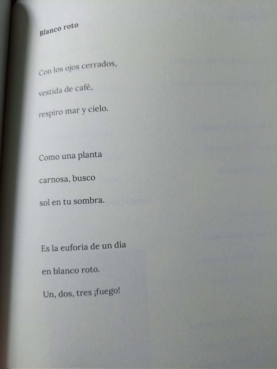 Blanco Roto, Amelia Serraller