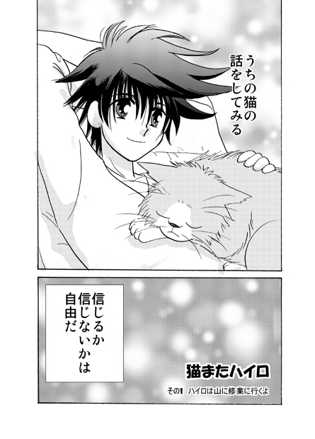 うちの猫が猫また修行に行った話1 