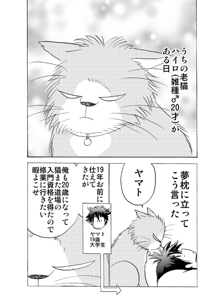 うちの猫が猫また修行に行った話1 