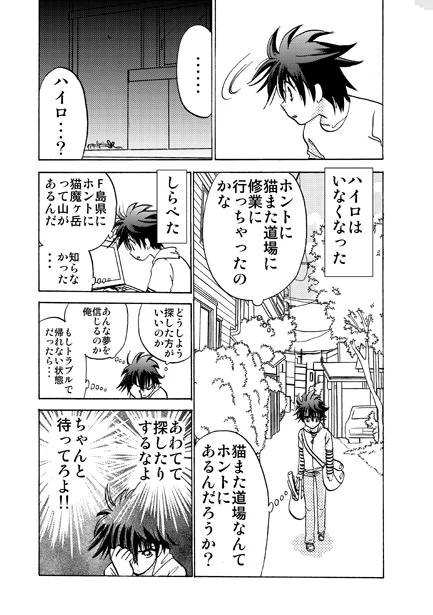 うちの猫が猫また修行に行った話2 