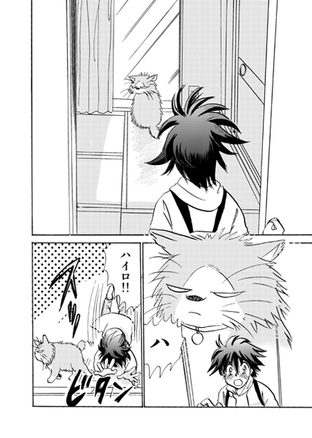 うちの猫が猫また修行に行った話3 