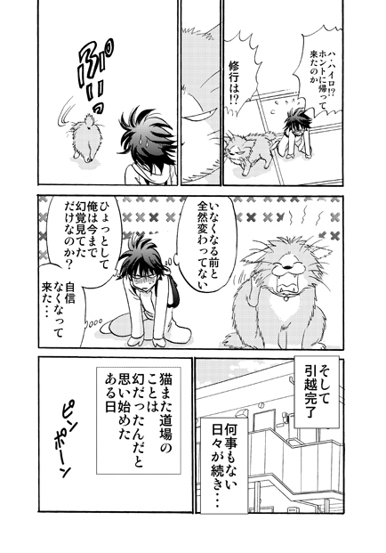 うちの猫が猫また修行に行った話4 
