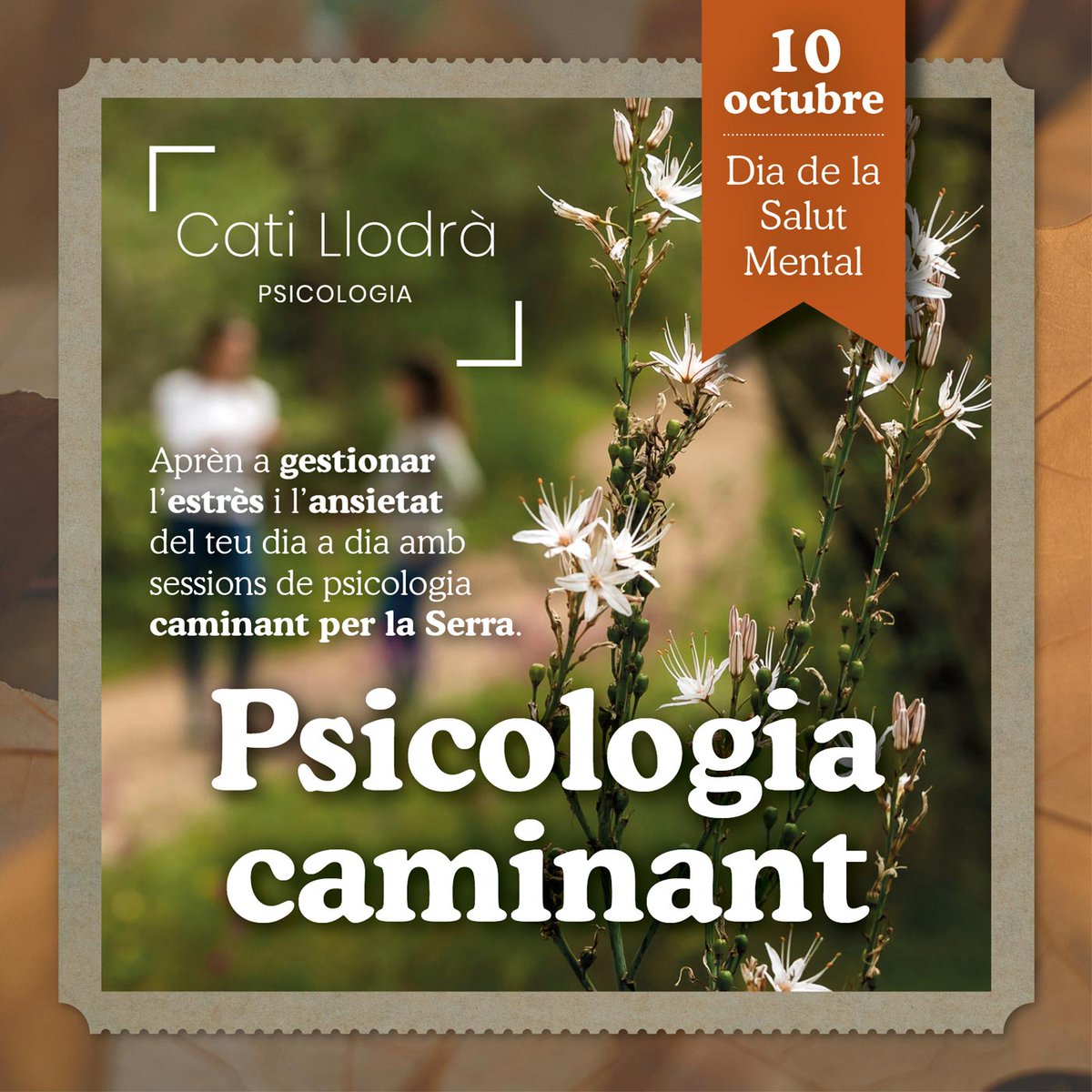 viu sa Serra ® tweet media