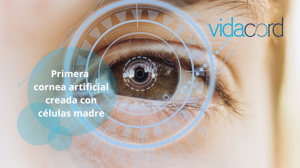 VidaCord tweet media