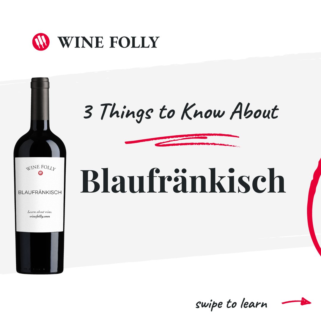 WineFolly's tweet image. 🍇  Meet Blaufränkisch, Austria’s spicy red gem! 🍇🌶️ With bold black pepper notes, vibrant acidity, and rich berry flavors, this grape is perfect for adventurous wine lovers. 

🎯 Learn more at winefolly.com/grapes/blaufra…

#blaufränkisch #wine